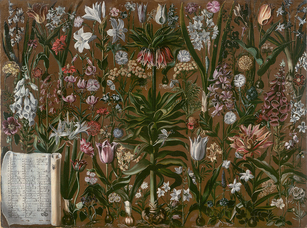 Girolamo Pini. Étude de Botanique, ок. 1615. Холст, масло. Paris, musée des Arts décoratifs