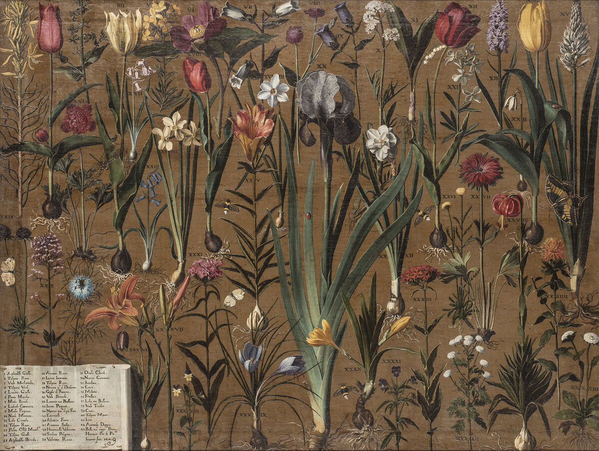 Girolamo Pini. Étude de Botanique, ок. 1614. 92 x 120 см. Холст, масло. Paris, musée des Arts décoratifs