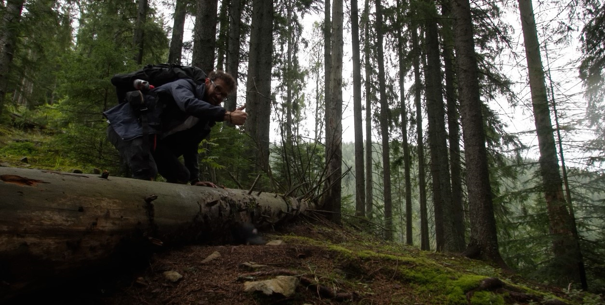 Антон Птушкин в своем видео о Карпатах