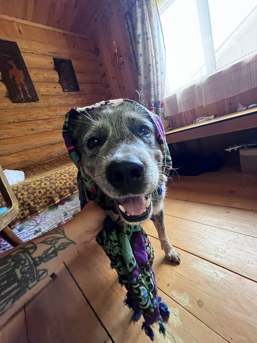 Дачные образы 