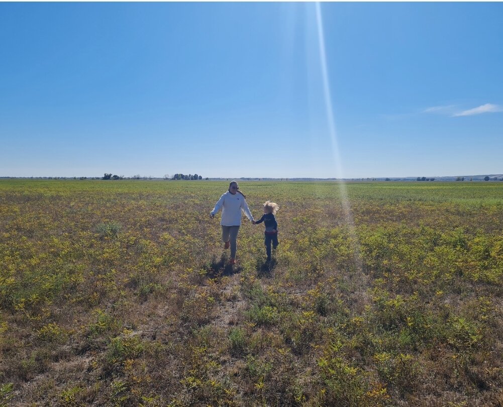 Сейчас бы по полюшку бегать, а не вот это все😄