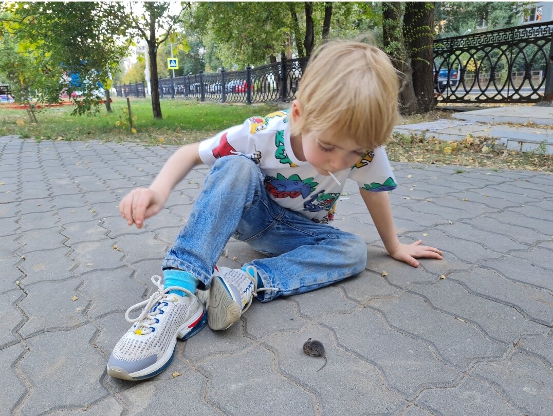 Мам, да они там не мыши даже, а крысы!