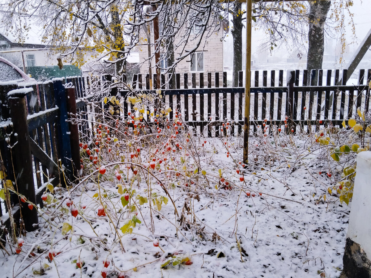 Вторник, 17 октября 2023. Фото автора.