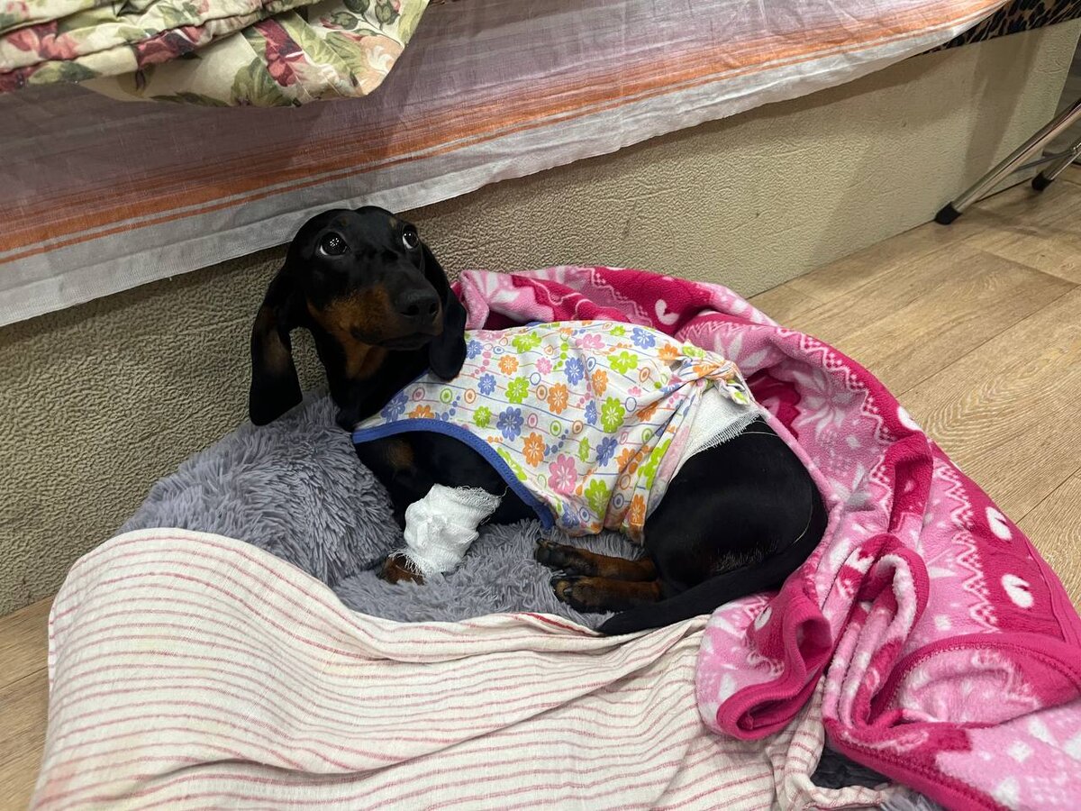 Старая детская одежда пригодилась))