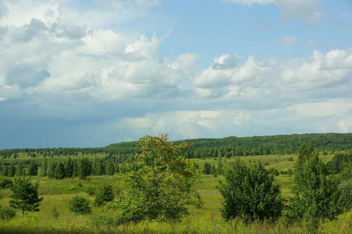 Красота природы МОРДОВИИ. Дорога из Нижнего Новгорода в Саранск как  отдельная достопримечательность | Анна Лебедева | Моя Россия | Дзен