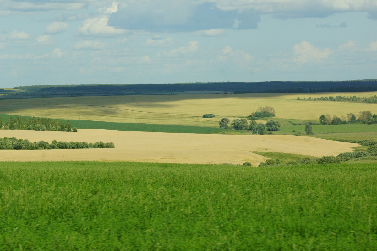 Красота природы МОРДОВИИ. Дорога из Нижнего Новгорода в Саранск как  отдельная достопримечательность | Анна Лебедева | Моя Россия | Дзен