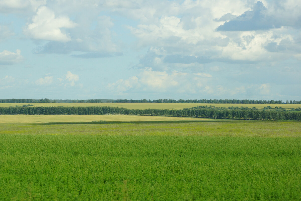 Красота природы МОРДОВИИ. Дорога из Нижнего Новгорода в Саранск как  отдельная достопримечательность | Анна Лебедева | Моя Россия | Дзен