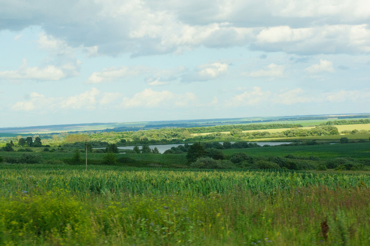 Красота природы МОРДОВИИ. Дорога из Нижнего Новгорода в Саранск как  отдельная достопримечательность | Анна Лебедева | Моя Россия | Дзен