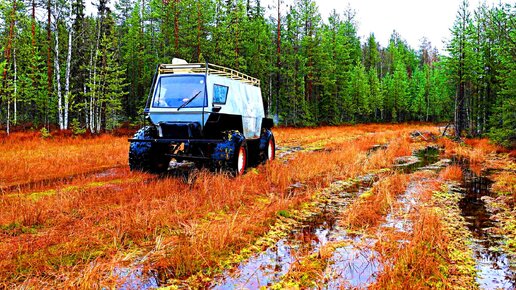 ВОЛК РЯДОМ! ЛОВУШКИ СРАБОТАЛИ! ТОНУ В РЕКЕ, _ВСЁ ТОПИТ_ СТРАШНО! ВЫЖИТЬ В ТАЕЖНЫХ УСЛОВИЯХ!