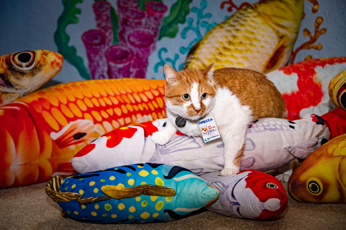 Вот сколько рыбы наловил! 