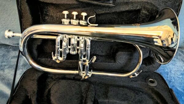    Фото: Никита Чудин. UG.RU