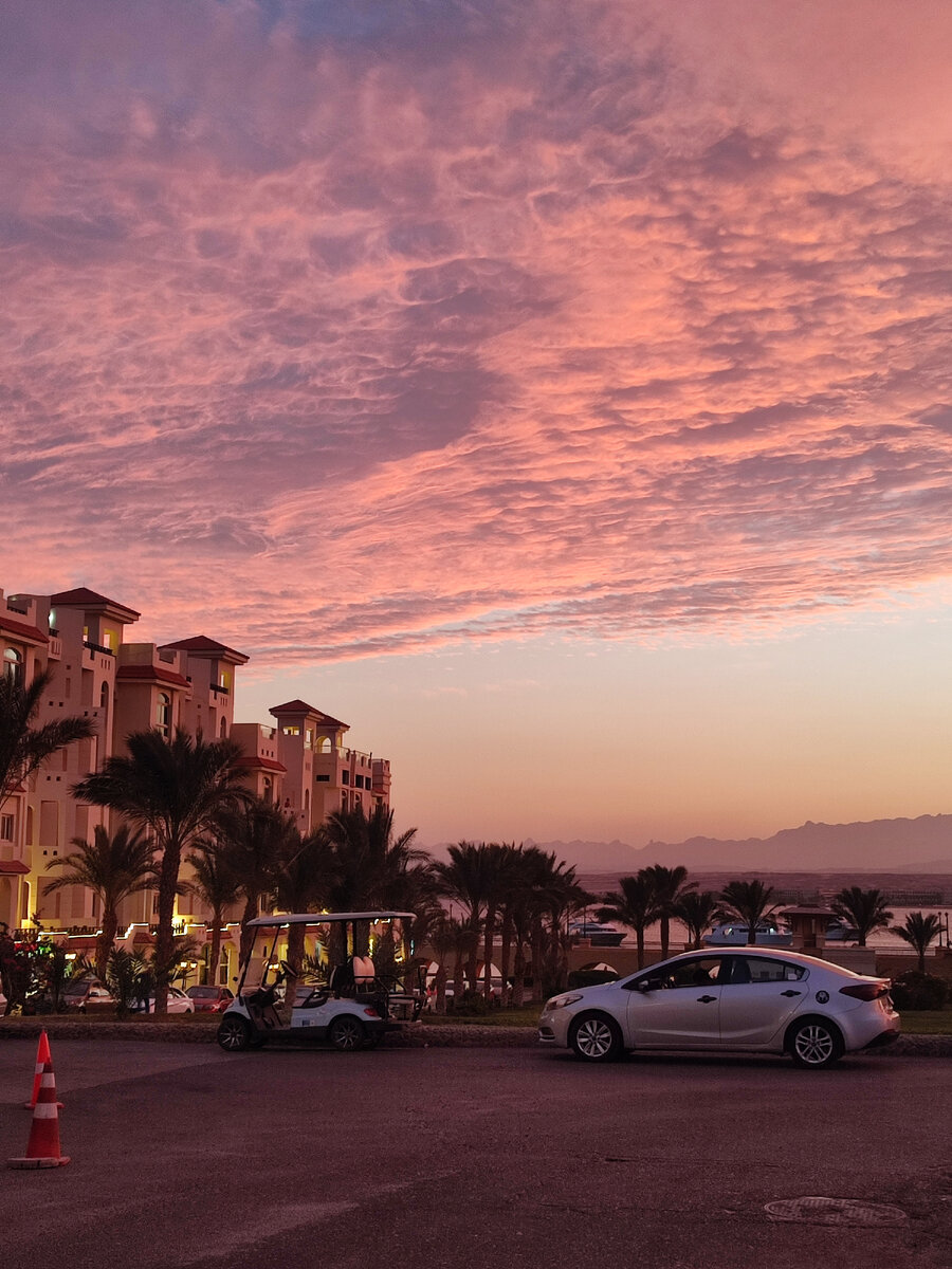 Все вокруг обрело багровый оттенок 