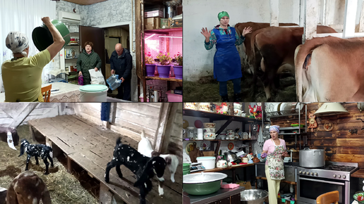 🐐У НАС САМЫЕ ВОСПИТАННЫЕ КОРОВЫ И КОЗЫ🐄 КАК Я ЭТОГО ДОБИЛАСЬ 🌺🌺🌺 ...