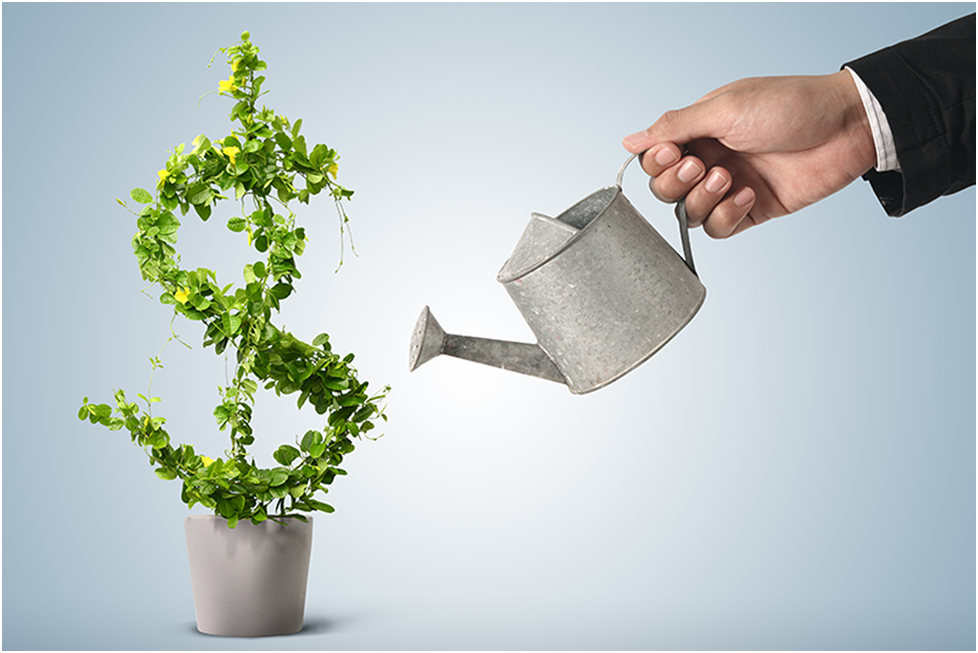 Рост дохода ассоциативен с поливом растений