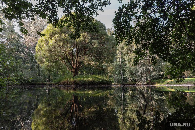    Туры на природу выросли на 20%
