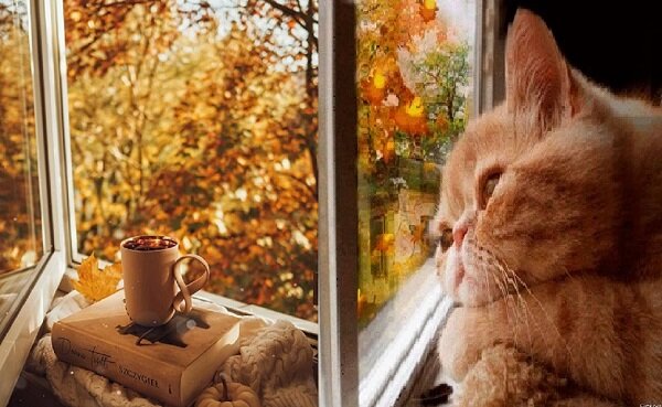 Картинка из инета 