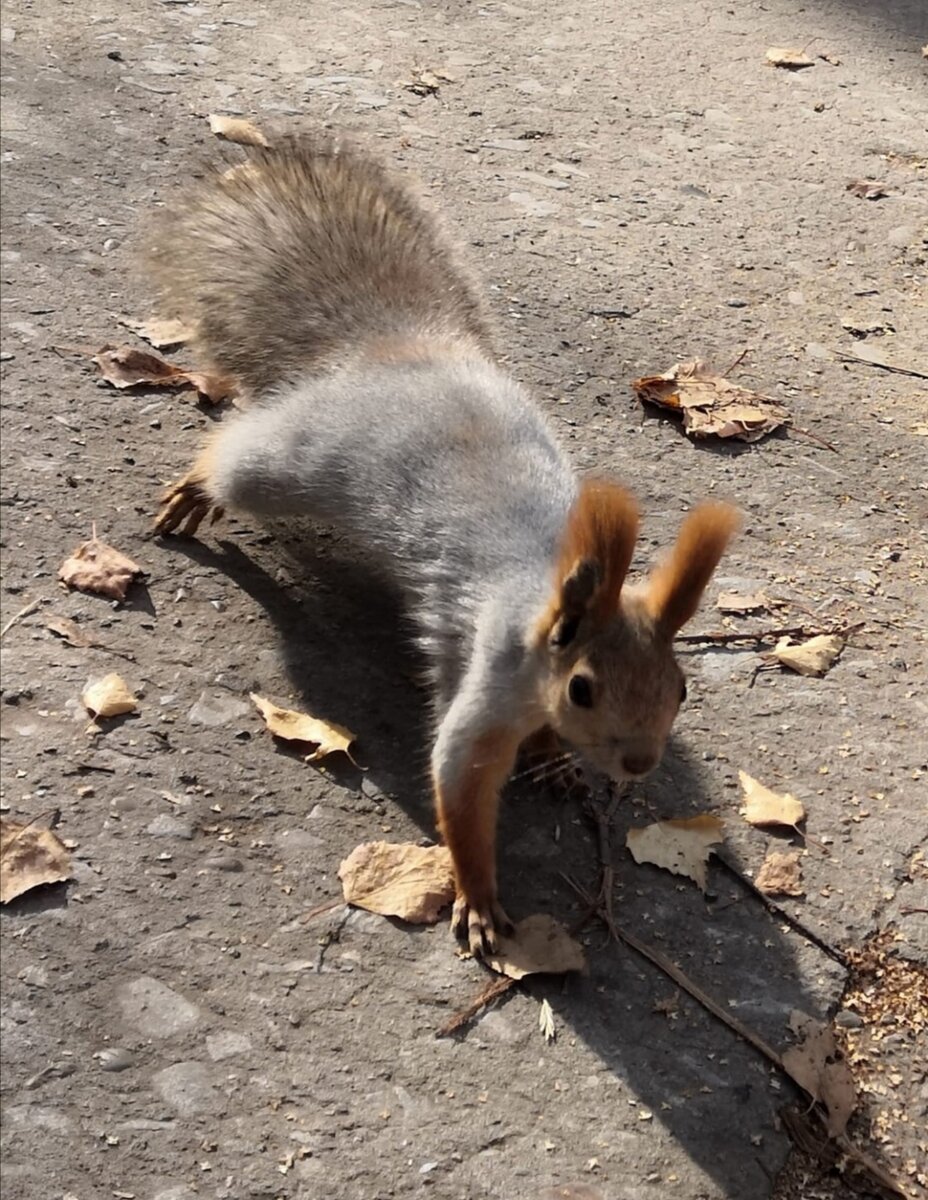 Фото племянницы Людмилы. 