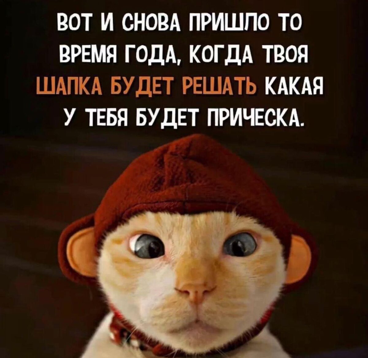 фото из открытых источников интернет