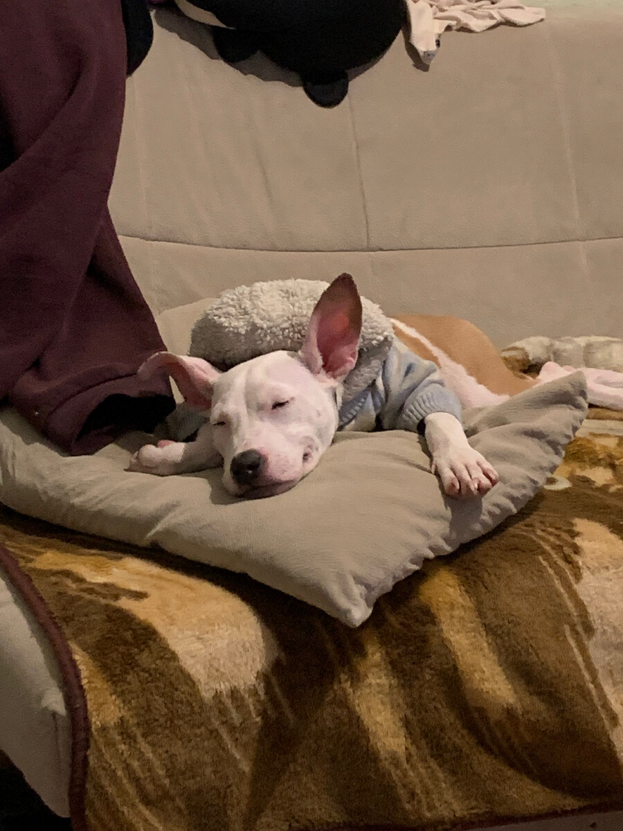 Фоток с Майклом я не нашла, поэтому пусть будет тут эта сладкая булочка