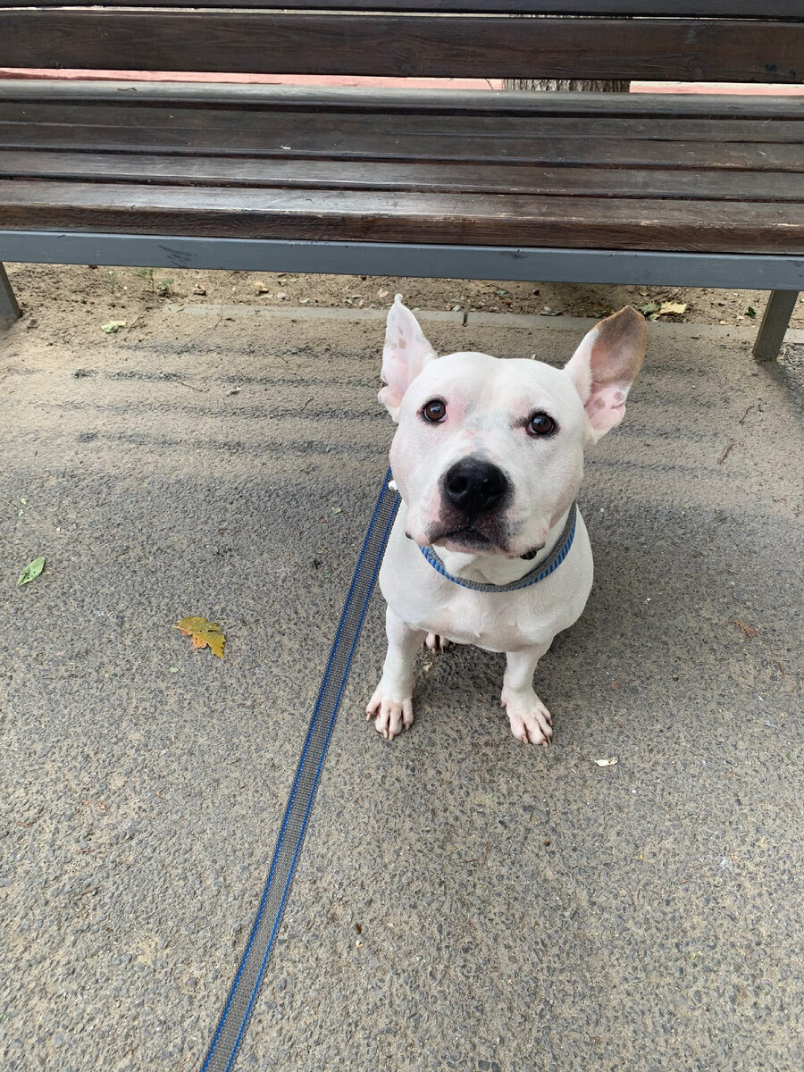 По этой фотке и не скажешь, что Ричи вообще может быть злым