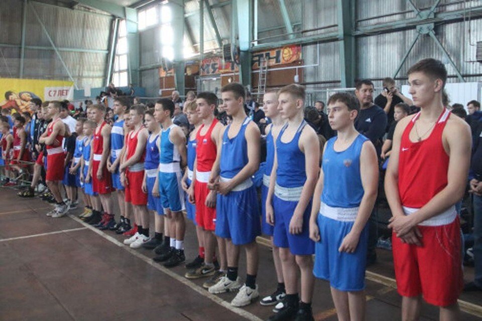    Участие в соревнованиях приняли 225 боксеров. Фото: администрация Бердска