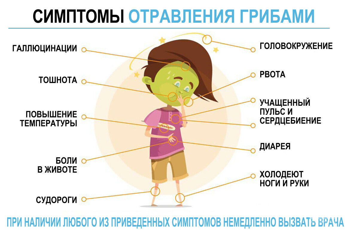 Отравление грибами симптомы. Симптомы при отравлении грибами. Отравление грибами гигиена. Как не отравиться грибами. Мультяшный ученый отравление грибами.