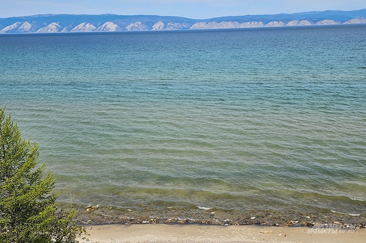    МВД сообщило подробности о скандале с военкором “Спаса” в Листвянке