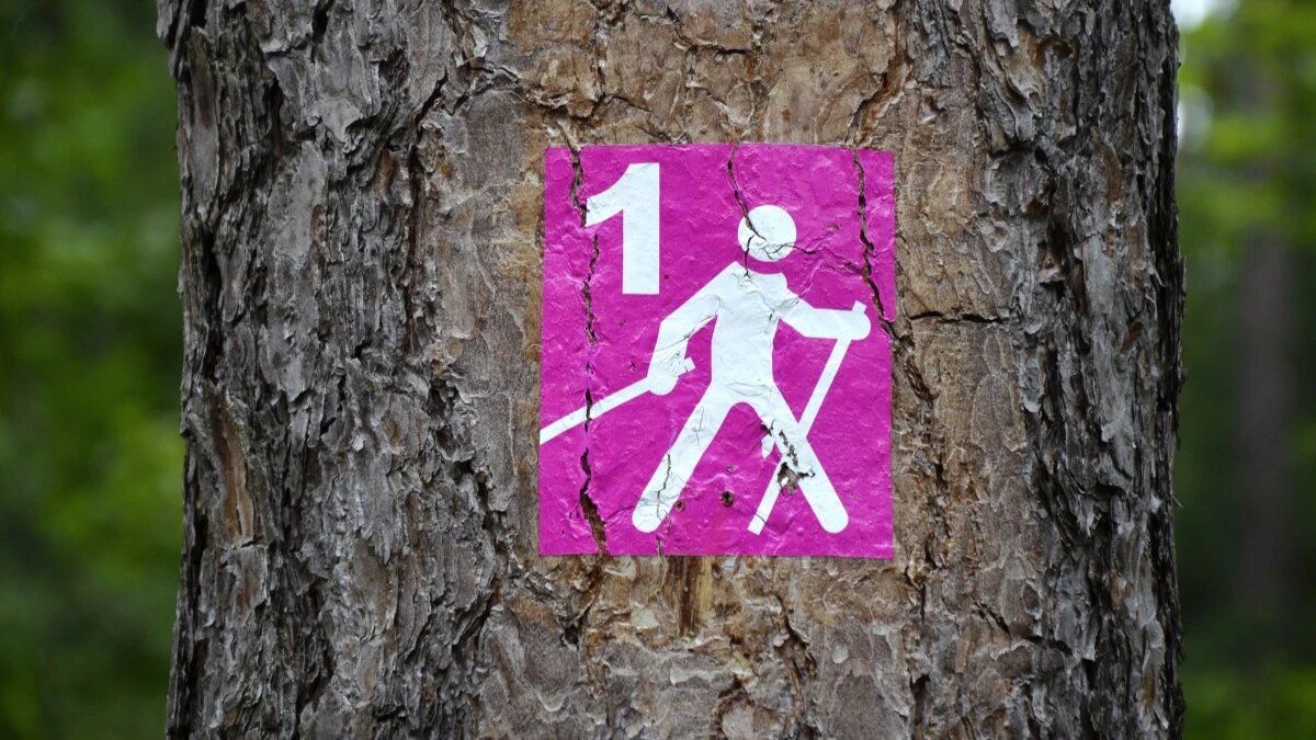 Фото: pxhere.com