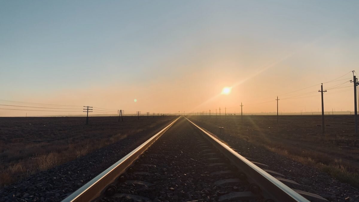    Фото: Unsplash Август Макаров