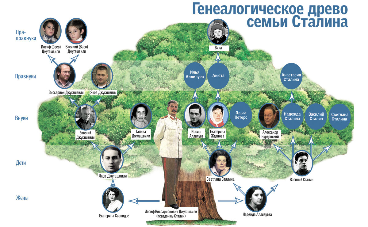 Древо потомков. Генеалогическое Древо Иосифа Сталина. Древо Сталина генеалогическое потомки. Семейное Древо Иосифа Сталина. Генеалогическое Древо Джугашвили.