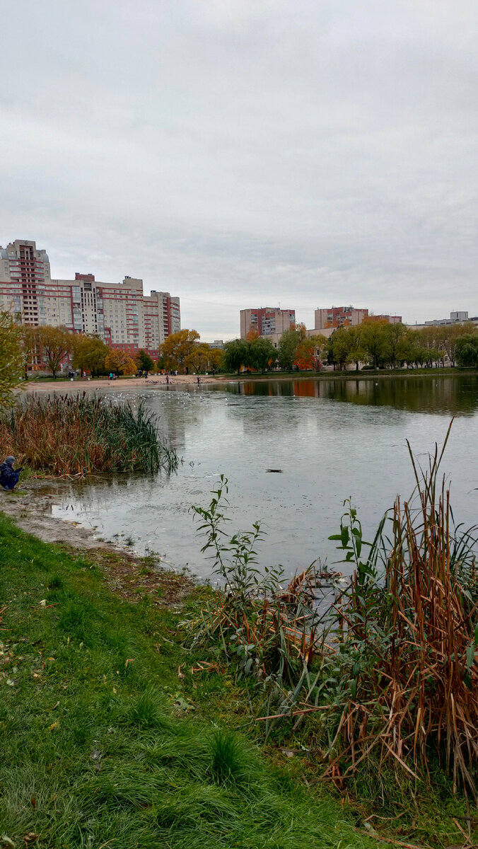 Фото автора 