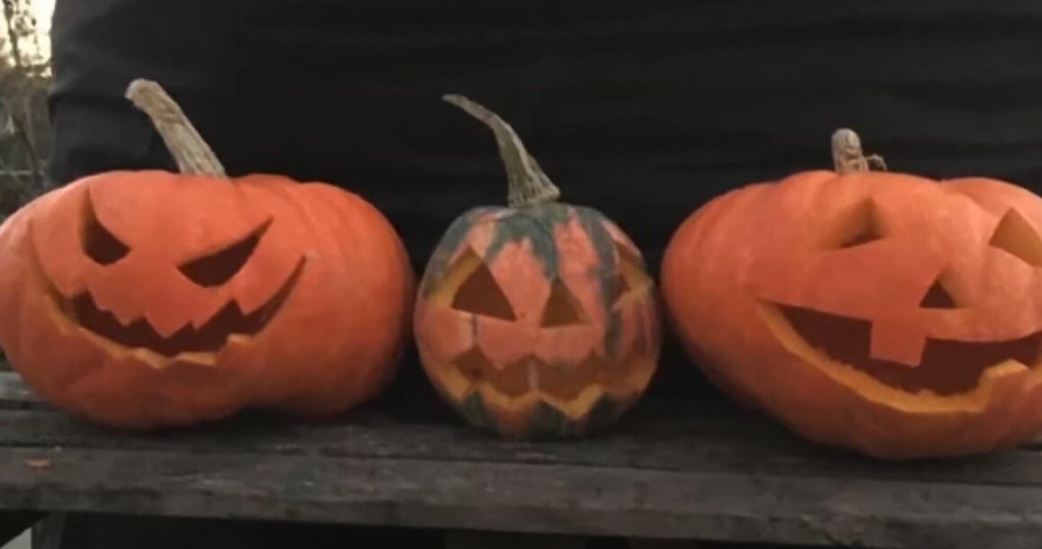    Ивановский клирик готов считать празднование «Тыквенного Спаса» оскорблением чувств верующих