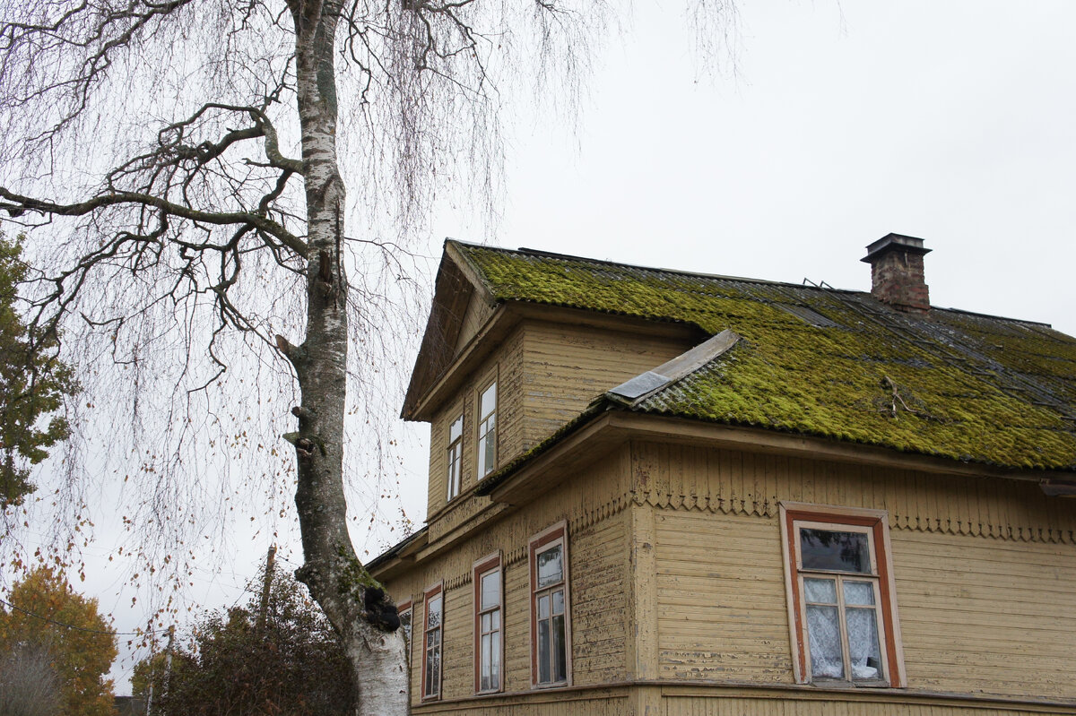 Поздняя осень в деревне. В статье все фотографии автора
