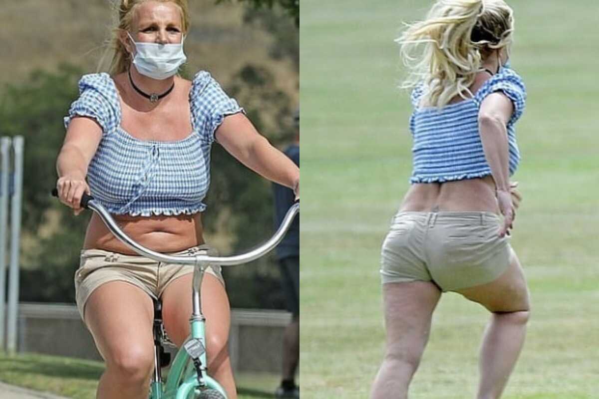 Яндекс картинки 