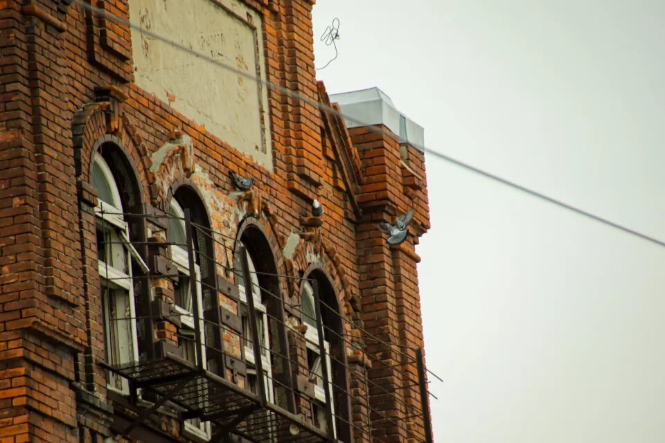 Дрожжевой завод 
Источник: Виталий Барабаш