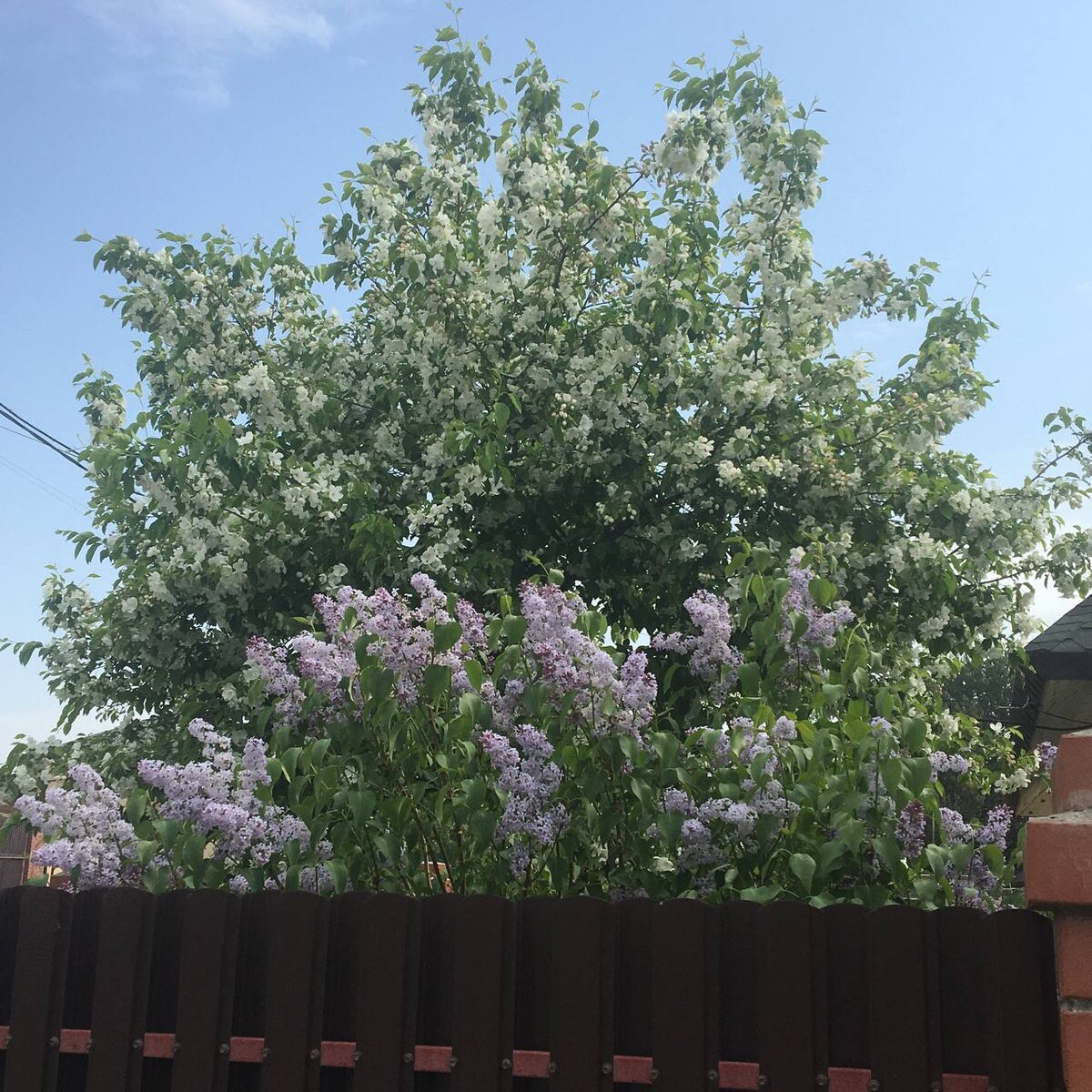 Фото Светланы Бочеваровой