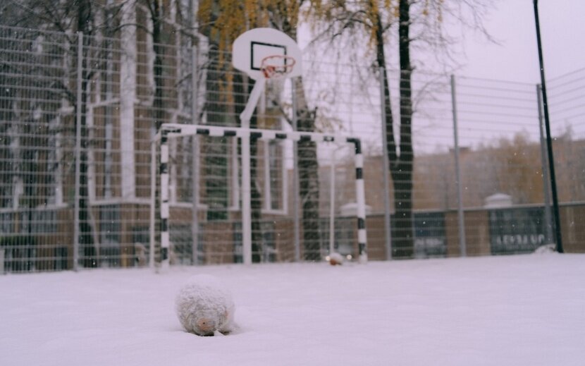    Первый снег в Ижевске. Фото: Маша Бакланова