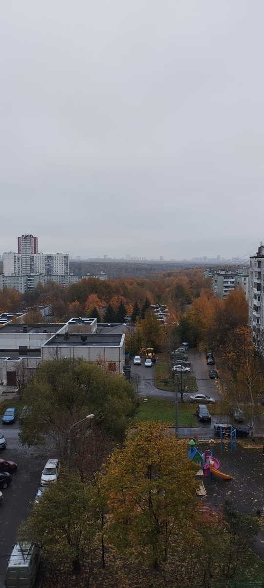 Осенние фото. Осень в Москве. Московская осень. Осень в Ясенево