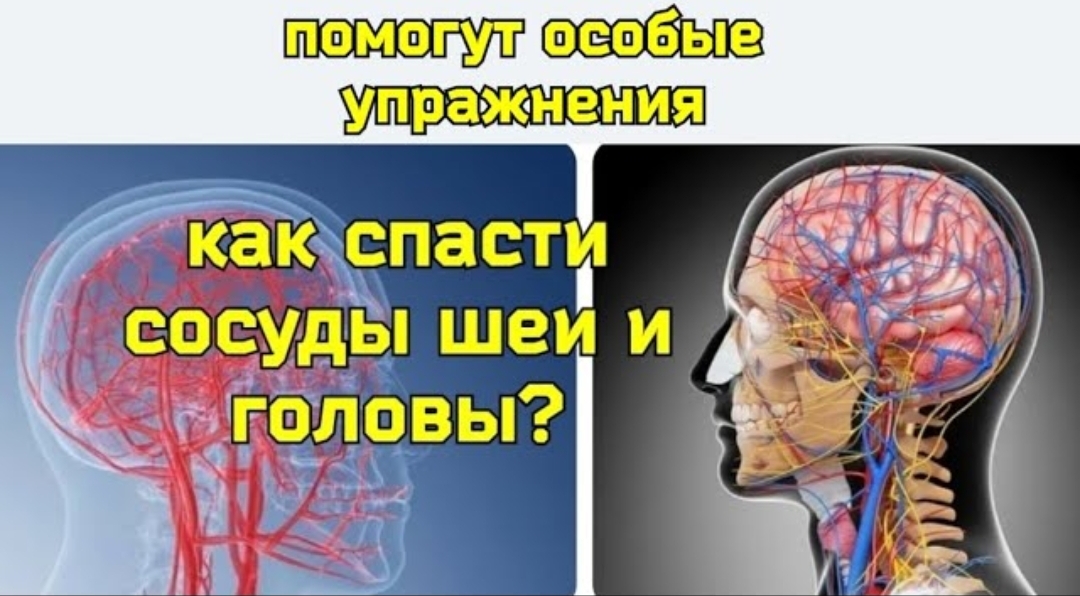 УЗИ сосудов шеи, сосудов головы, молочных желез в Калининграде в клиниках «АРС Медика»