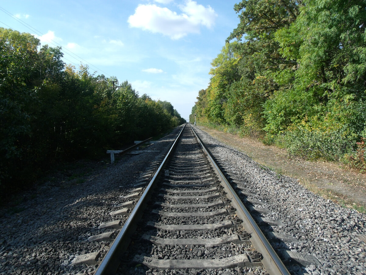 Фото из личного архива