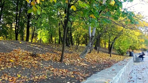 Краснодар - красота осени 🍂🍁🍃🍁☀️ - 23 октября 2023 г.