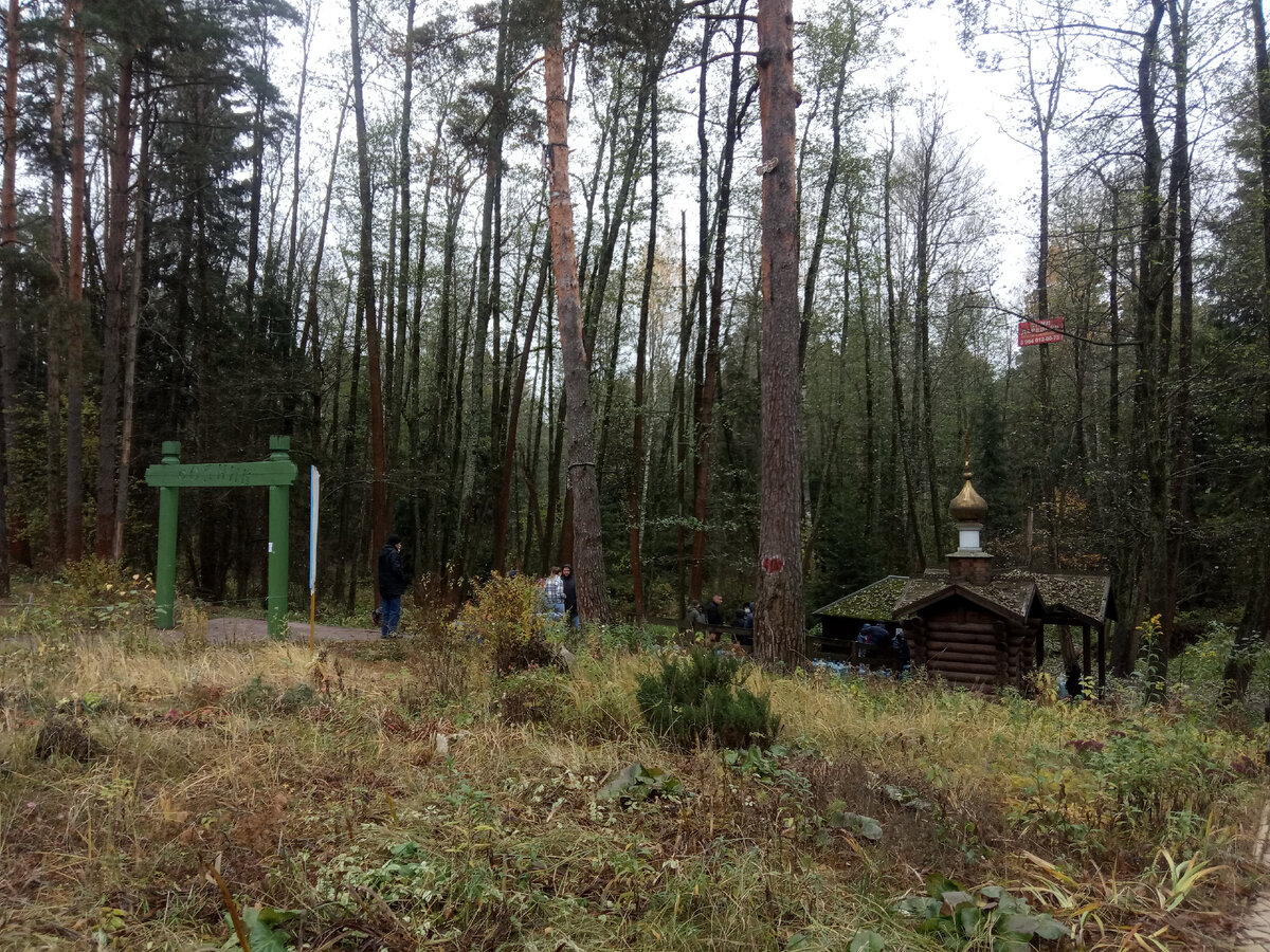 Очередь к роднику, общий план. Народу немного, просто количество тары на этом снимке не видно! :)))