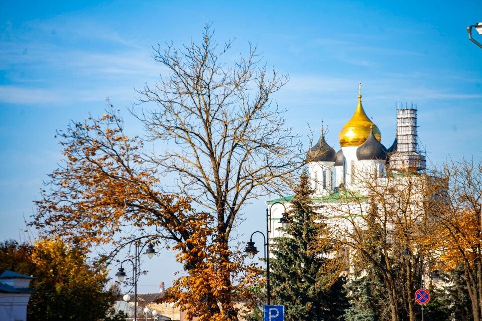 Фото Арсения Тимашова