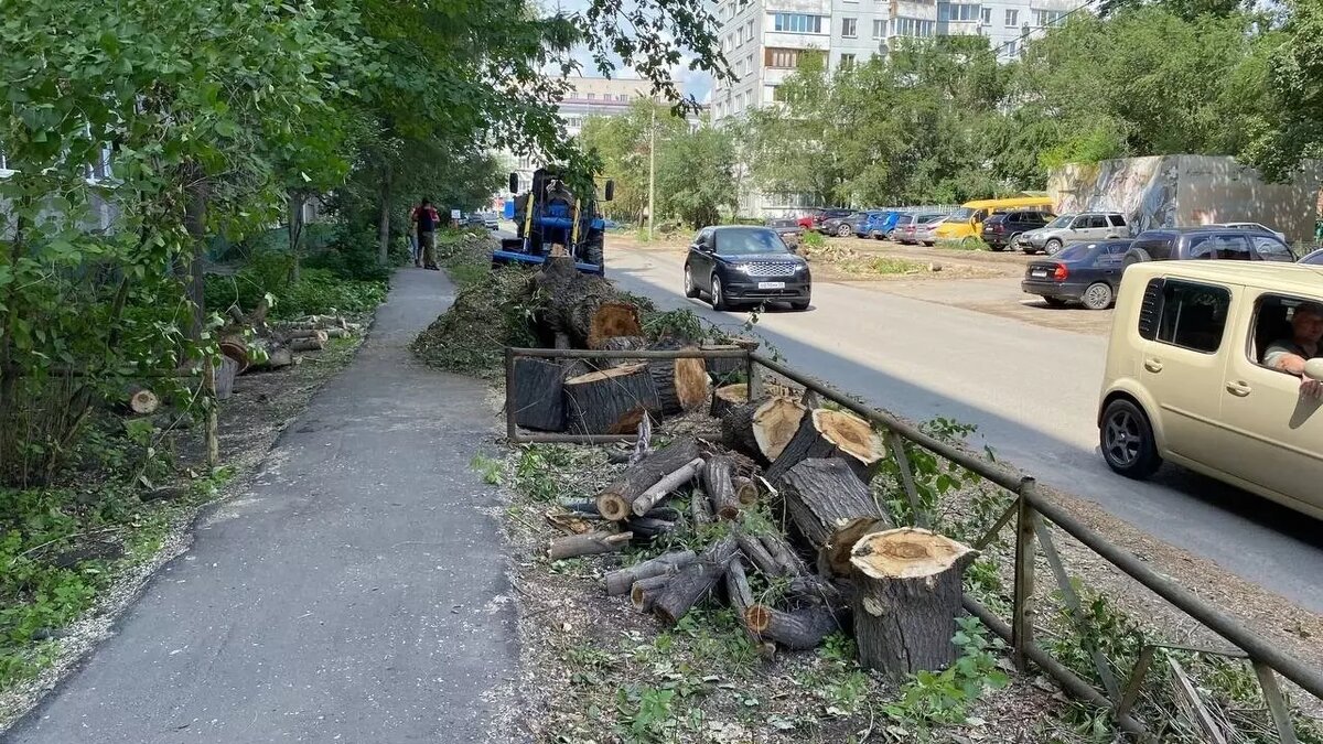     «Управление по охране животного мира» уже разместило заявку на сайте госзакупок.