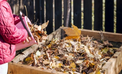 Фотография взята из источника yandex.ru