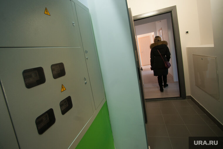    Блохи и муравьи лезут из подвала дома в подъезд и квартиры