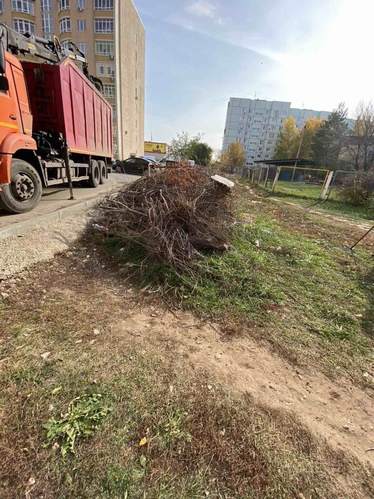 Высаживают растения, вывозят ветки и мусор. Неравнодушные жители города  Балаково активно участвуют в месячнике по благоустройству | Балаково-24 |  Дзен