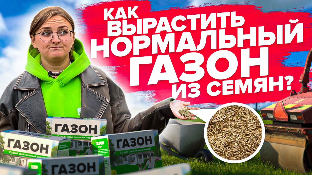 Как быстро и без проблем посадить газон весной?