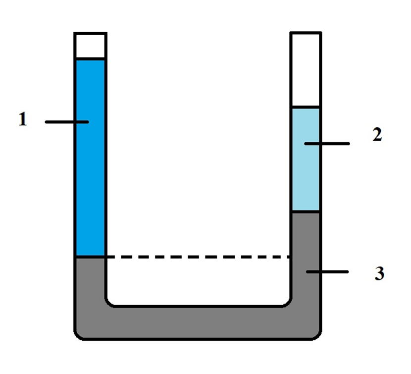 Сообщающиеся сосуды с разными жидкостями