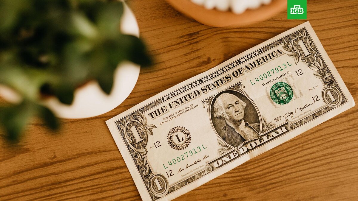    Фото: jonathanborba / unsplash.com